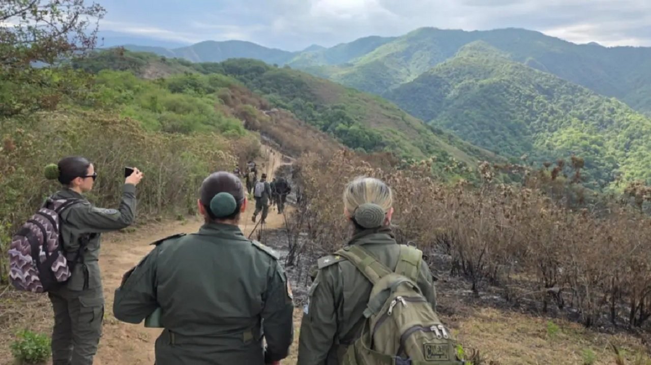 Caso Cordeyro: una soga, elementos calcinados y un celular derretido