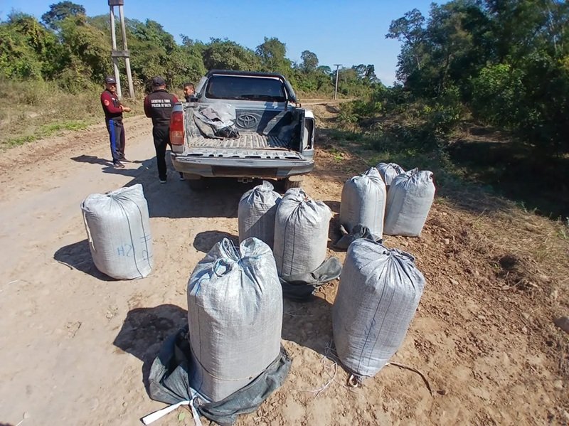 Incautaron 160 kilos de hojas de coca de contrabando en Orán